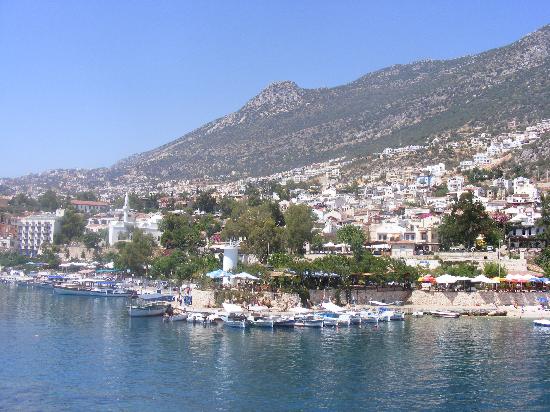 kalkan